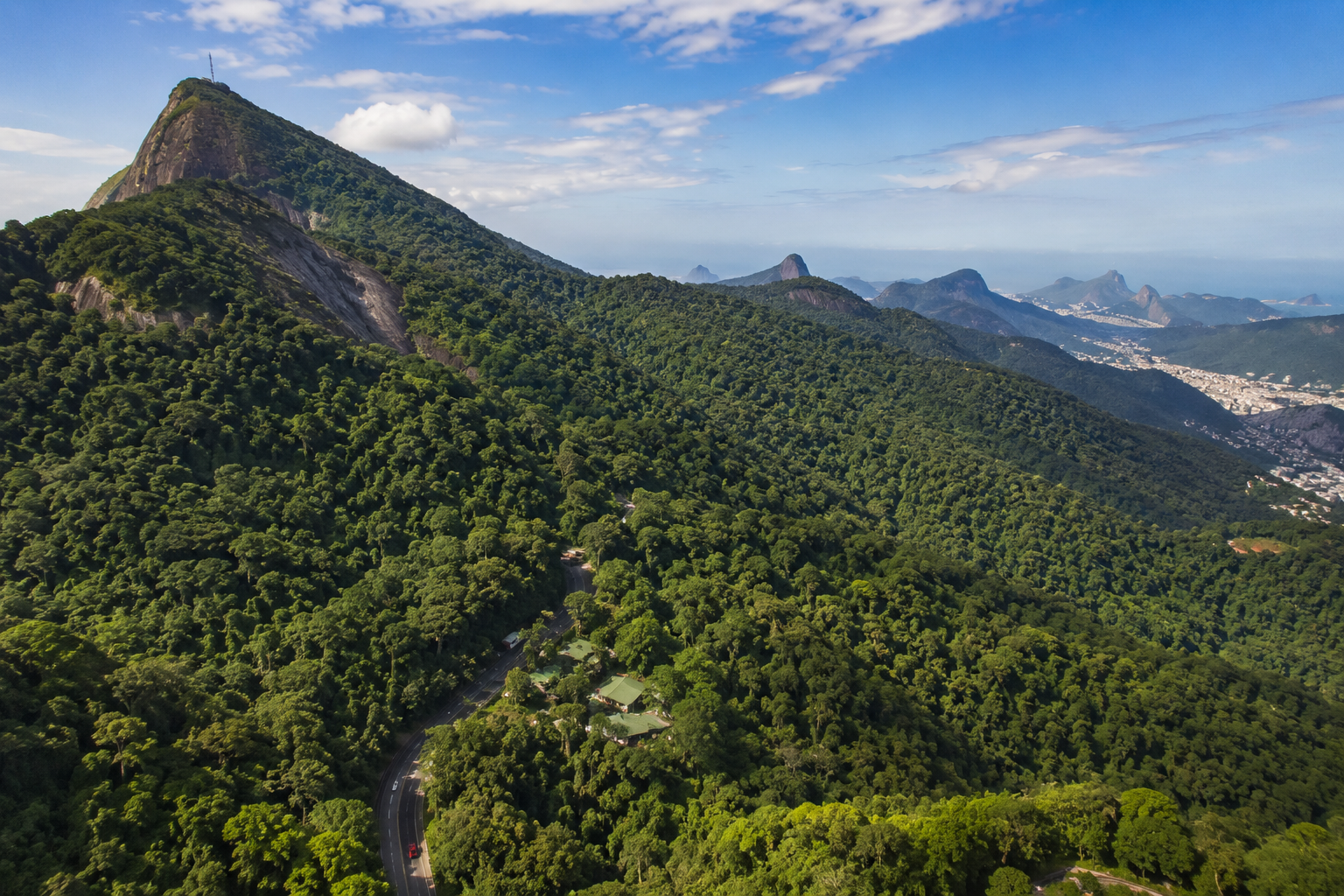 A Floresta que Dom Pedro II Mandou Plantar
